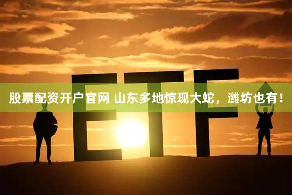 股票配资开户官网 山东多地惊现大蛇，潍坊也有！